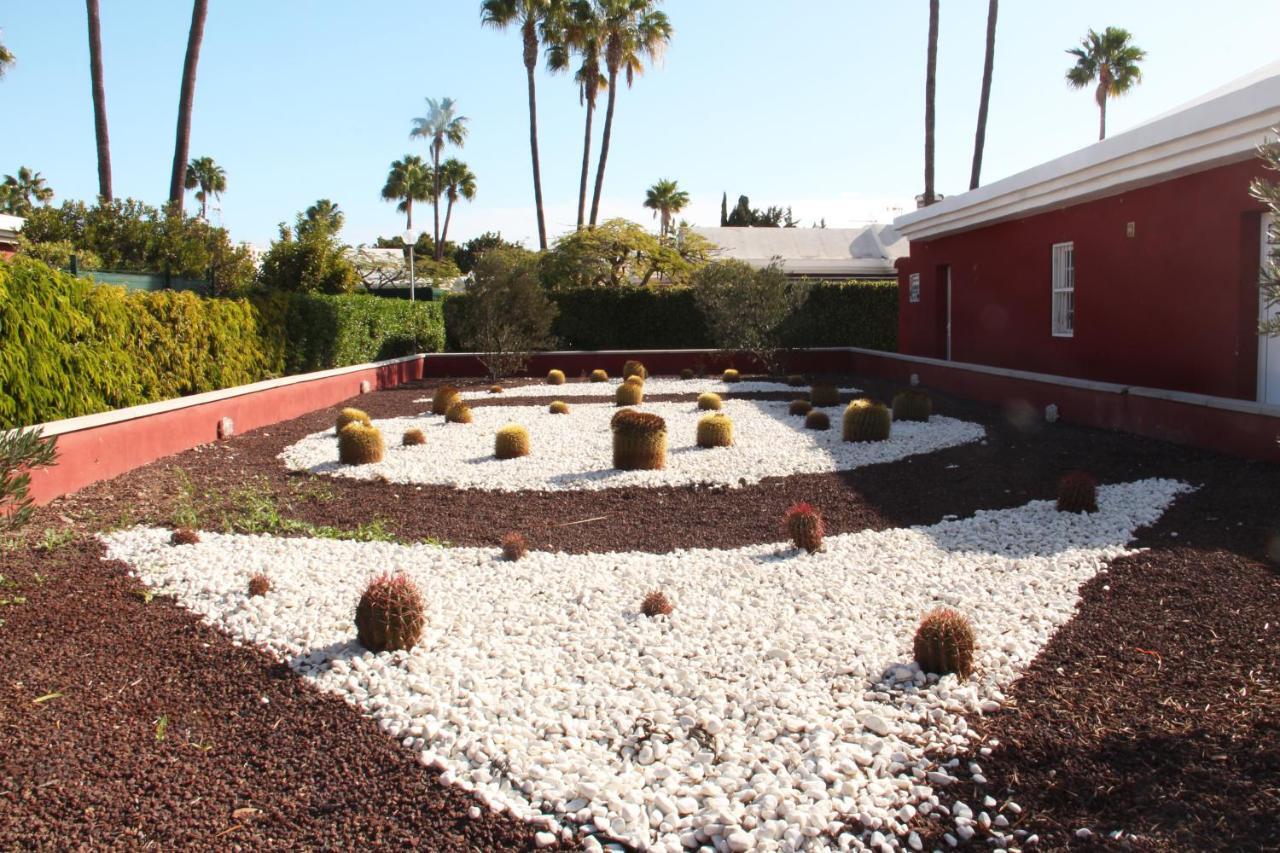 Albaricoques Vivac Bungalow San Bartolomé 외부 사진